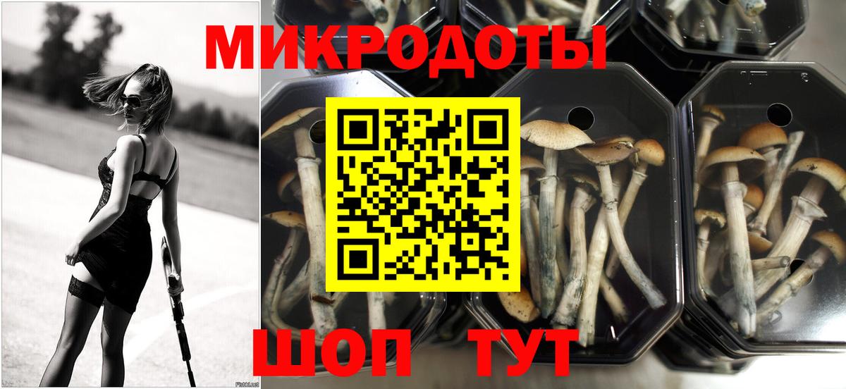 Приморско-Ахтарск  Псилоцибиновые грибы мицелий  Вход с VPN 